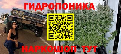 гашик Балахна