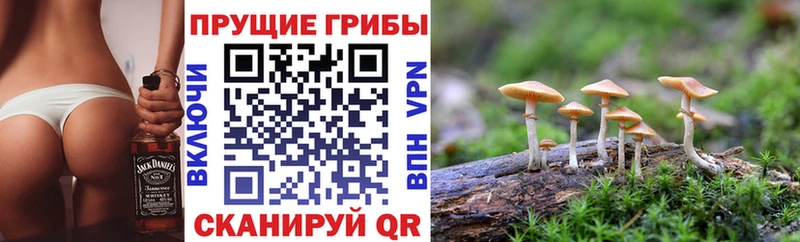 Псилоцибиновые грибы мухоморы kraken вход Белорецк