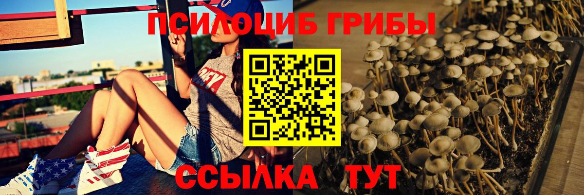 дарнет шоп  Галлюциногенные грибы ЛСД  Вход с VPN  Белорецк 